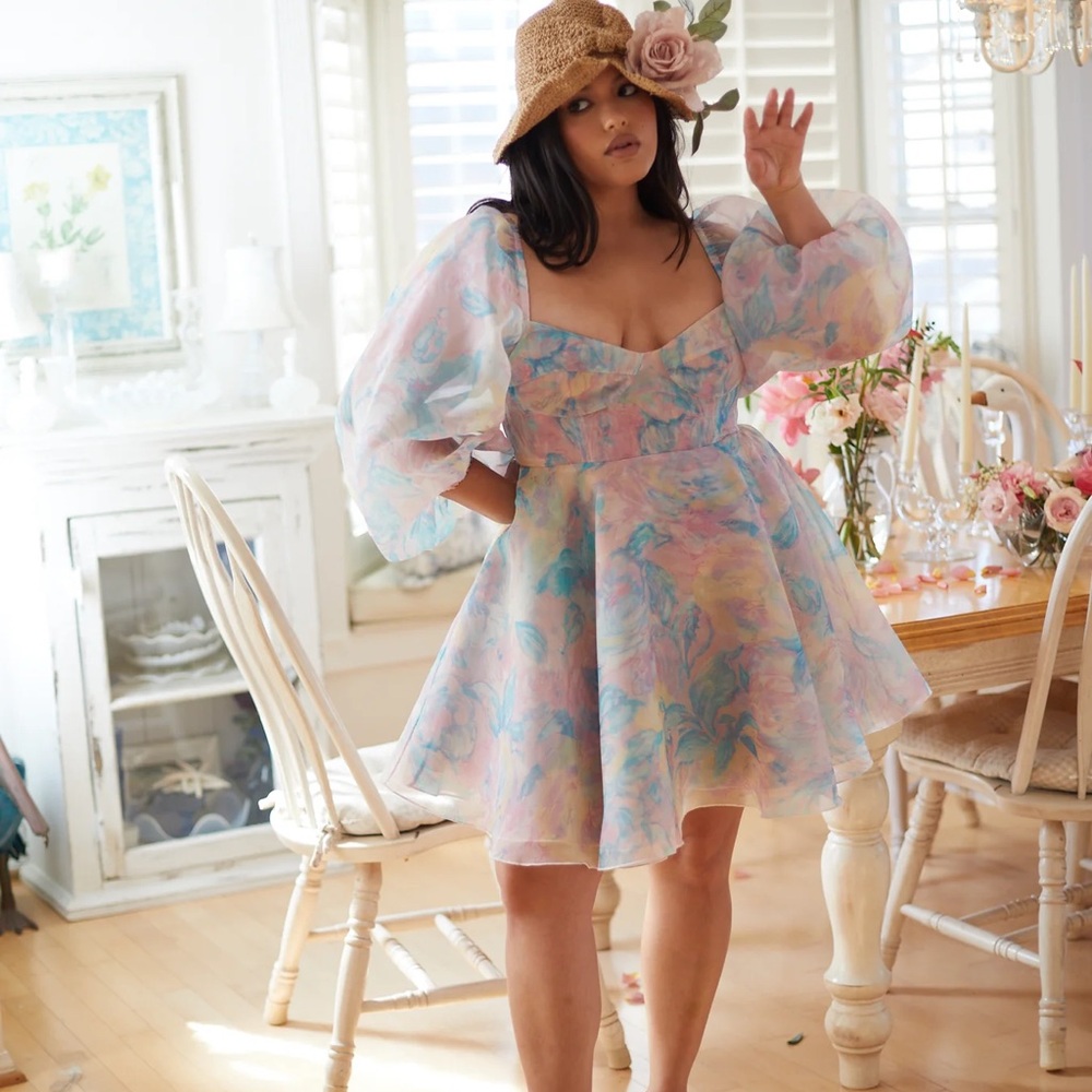 Selkie Stepmom Princess Dress - worn once